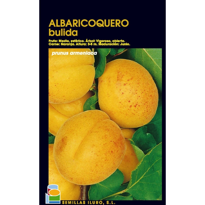 ALBARICOQUERO - BULIDA