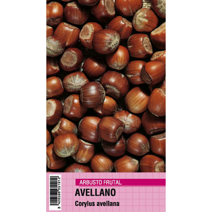 AVELLANO