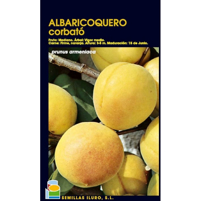 ALBARICOQUERO - CORBATÓ