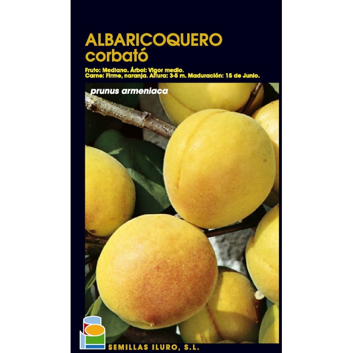 ALBARICOQUERO - CORBATÓ