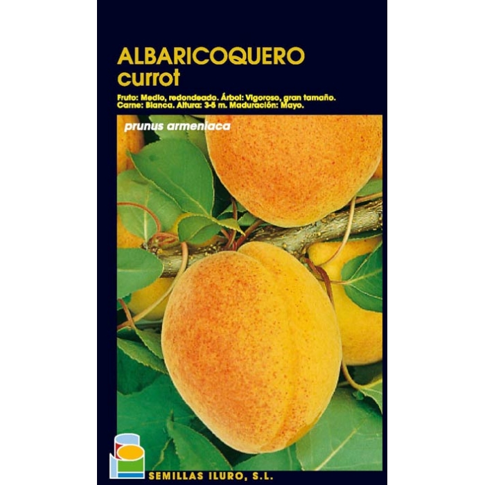 ALBARICOQUERO - CURROT