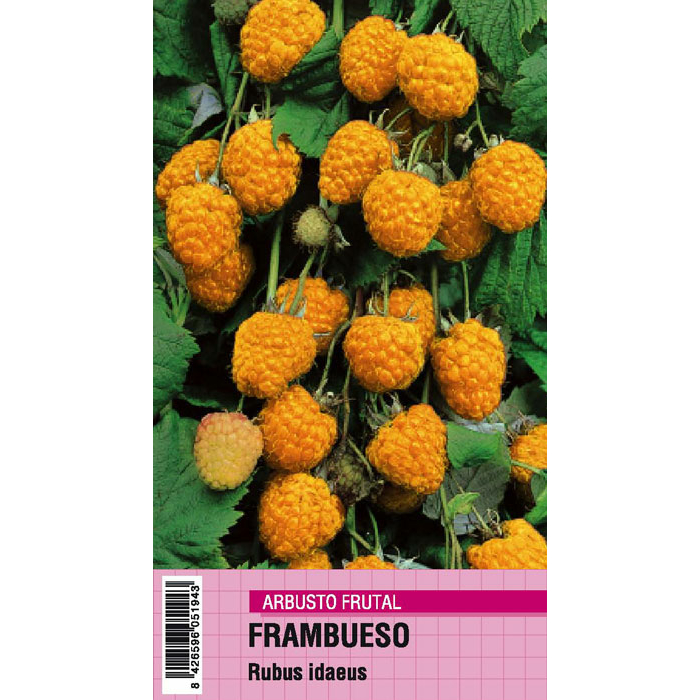 FRAMBUESA AMARILLA