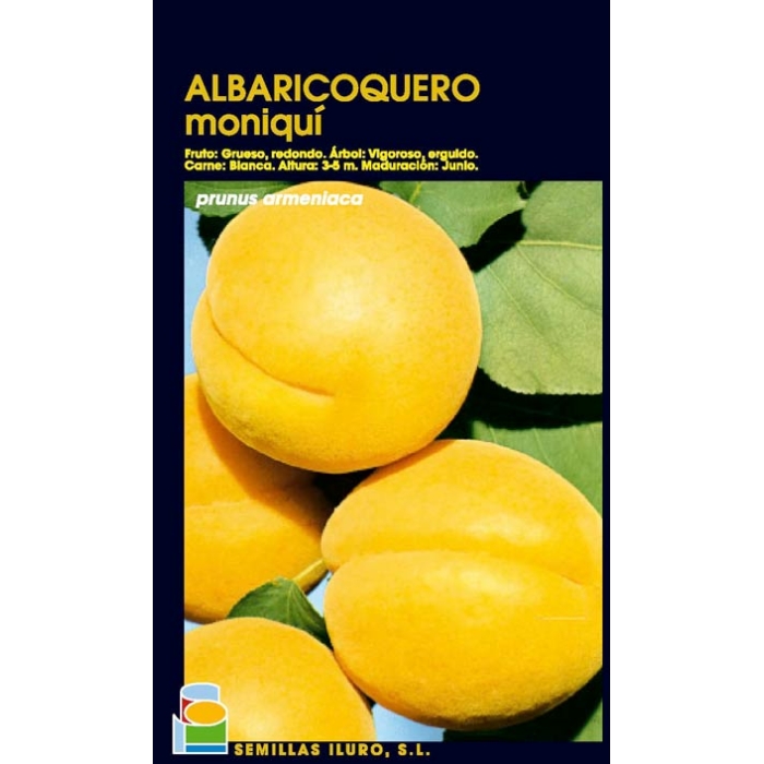 ALBARICOQUERO - MONIQUÍ