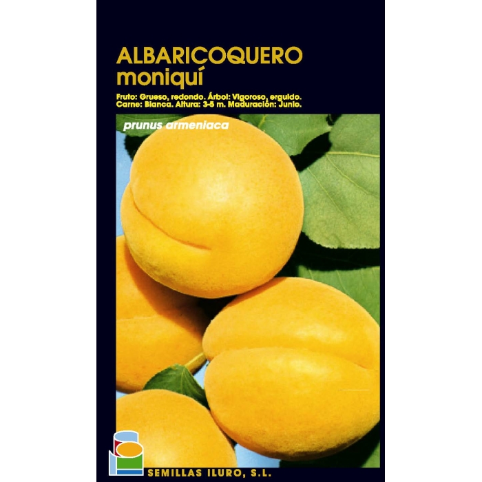 ALBARICOQUERO - MONIQUÍ