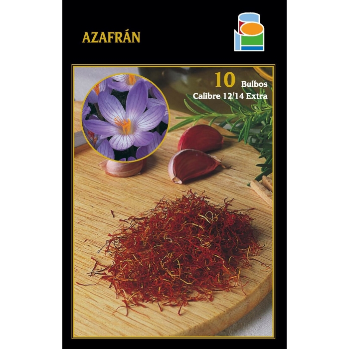 AZAFRÁN 10/12