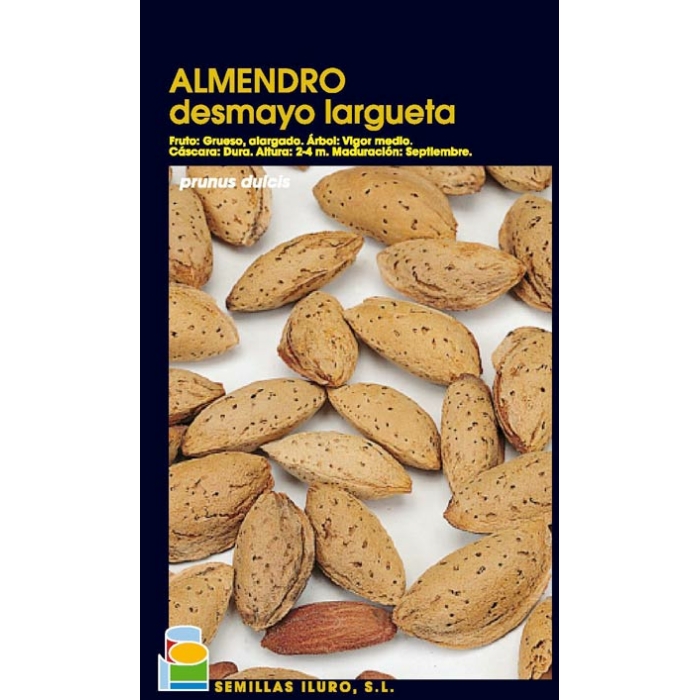 ALMENDRO - DESMAYO LARGUETA