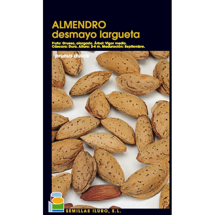 ALMENDRO - DESMAYO LARGUETA