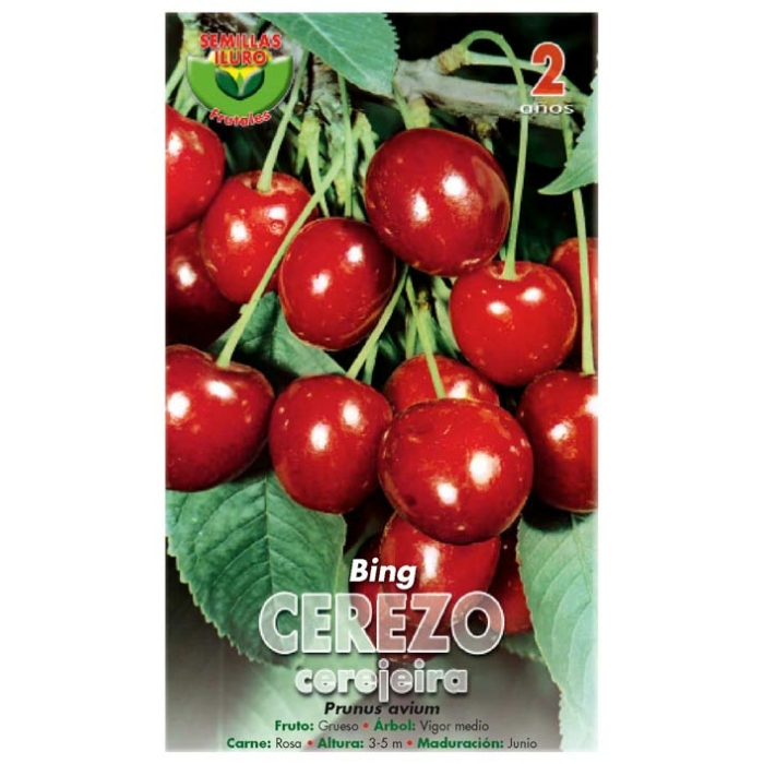 CEREZO - BING