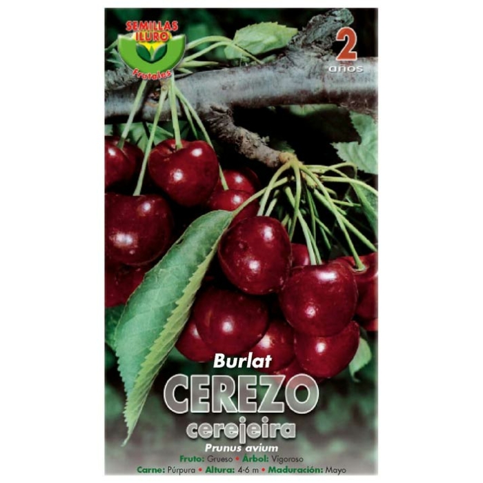 CEREZO - BURLAT