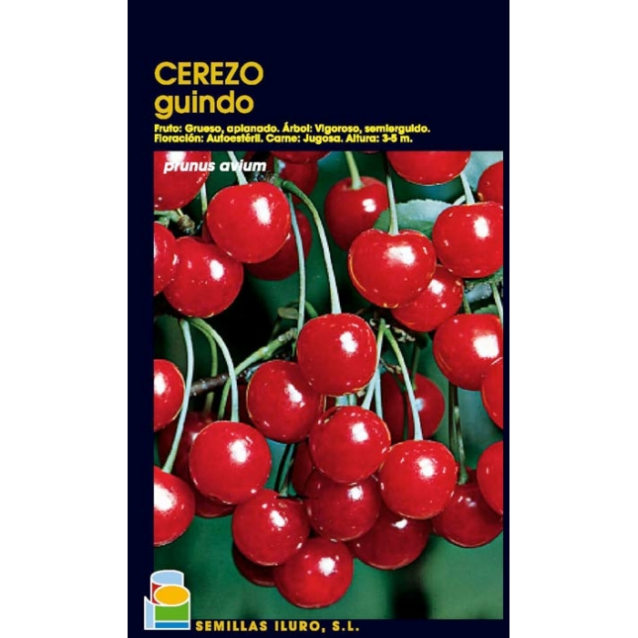 CEREZO - GUINDO