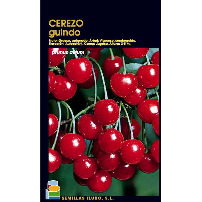 CEREZO - GUINDO
