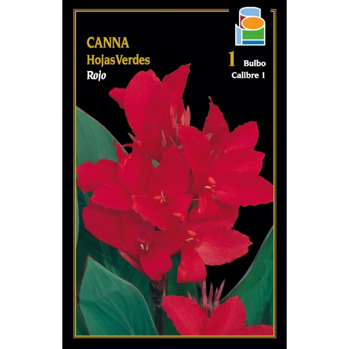 CANNA ROJA