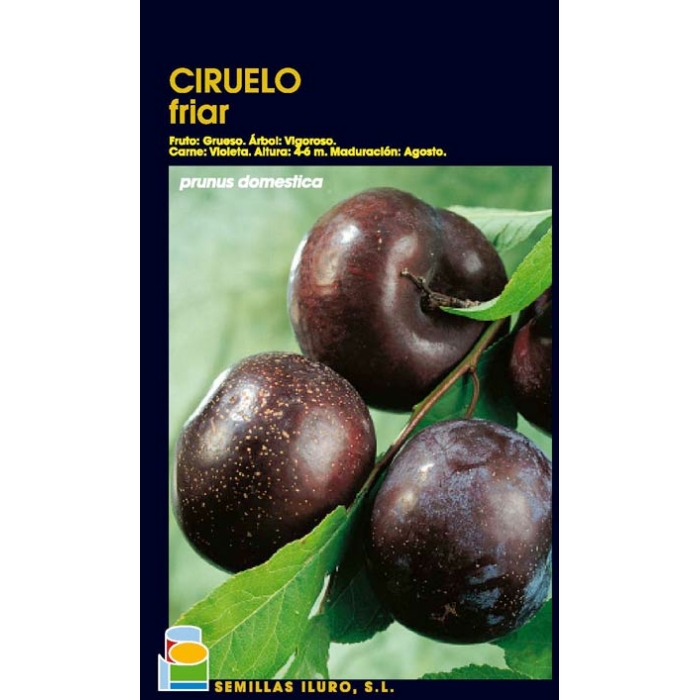 CIRUELO - FRIAR