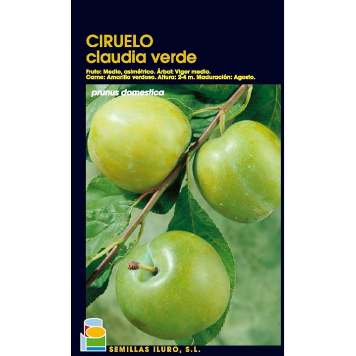 CIRUELO - REINA CLAUDIA VERDE