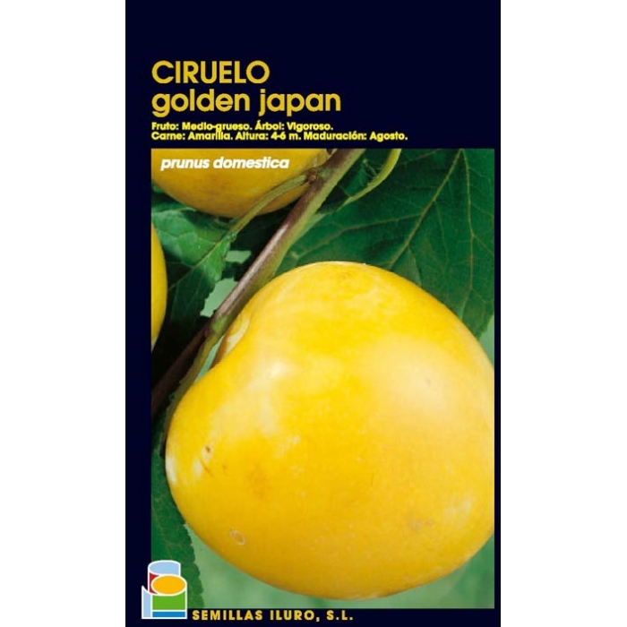 CIRUELO - GOLDEN JAPAN