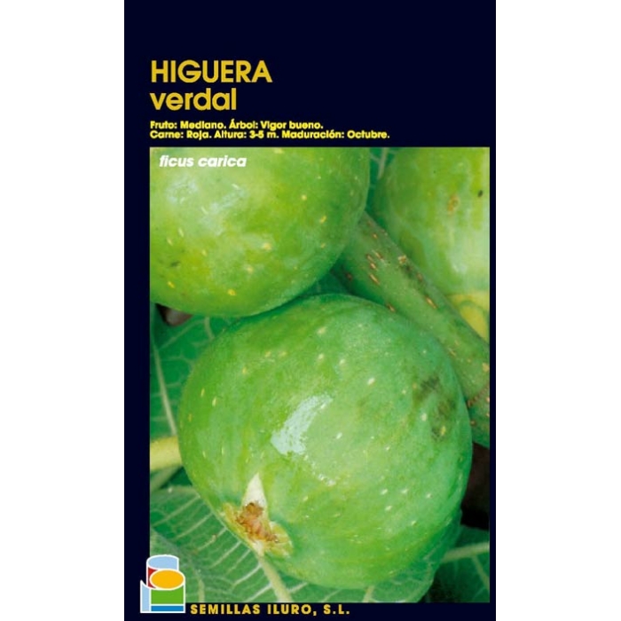 HIGUERA - VERDAL