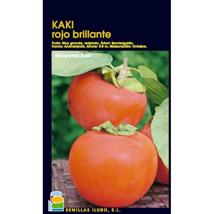 KAKI - ROJO BRILLANTE