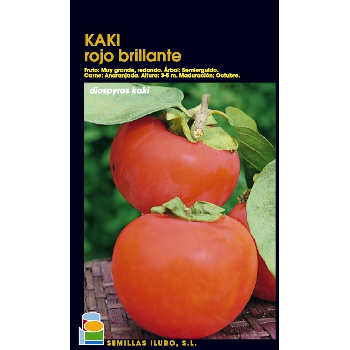 KAKI - ROJO BRILLANTE
