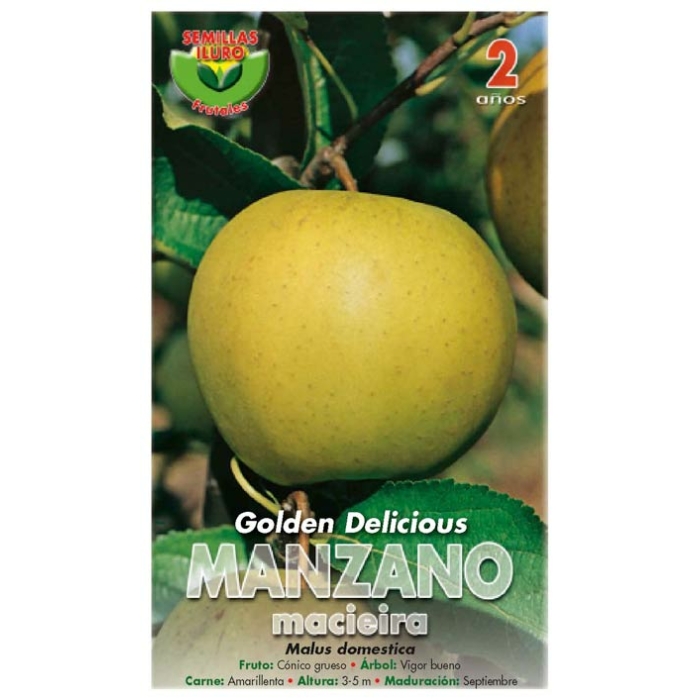 MANZANO - GOLDEN DELICIOUS