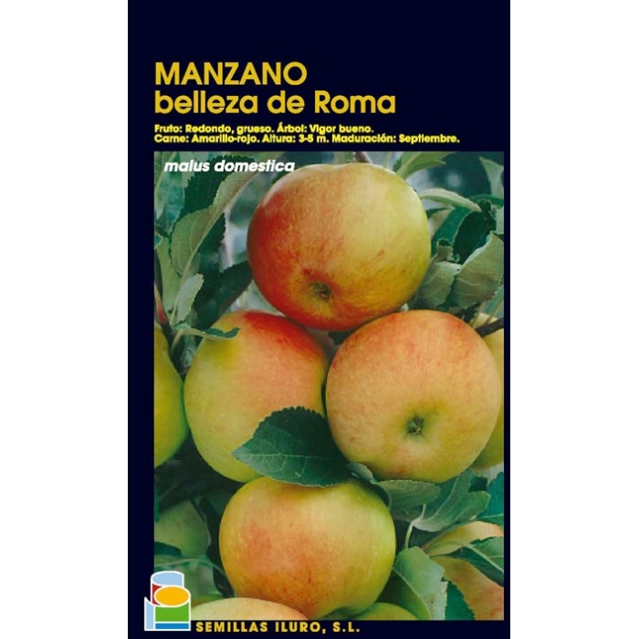 MANZANO - BELLEZA DE ROMA