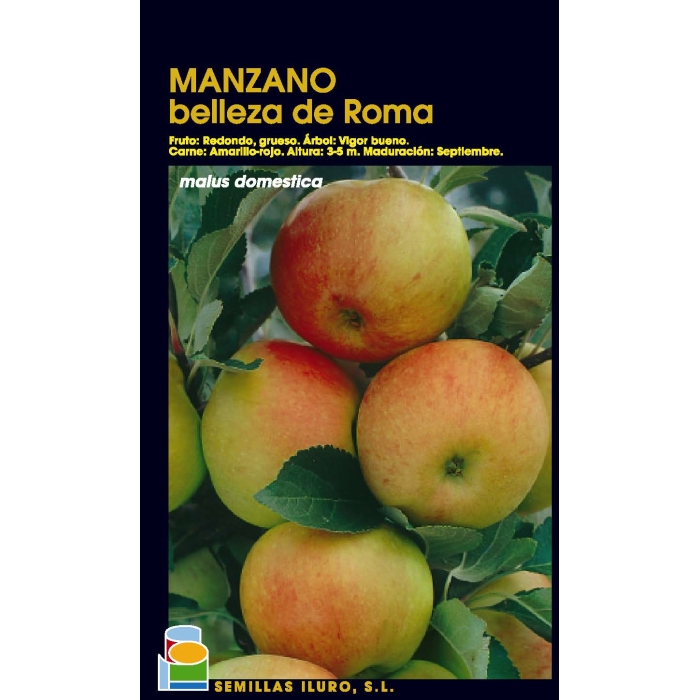 MANZANO - BELLEZA DE ROMA