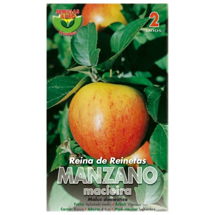 MANZANO - REINA DE REINETAS
