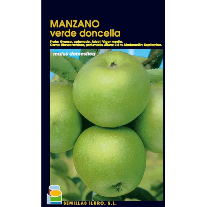 MANZANO - VERDE DONDELLA