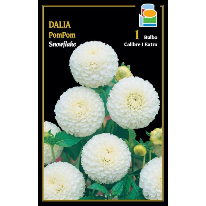 DALIA POM POM SNOWFLAKE