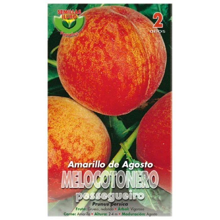 MELOCOTONERO - AMARILLO DE AGOSTO