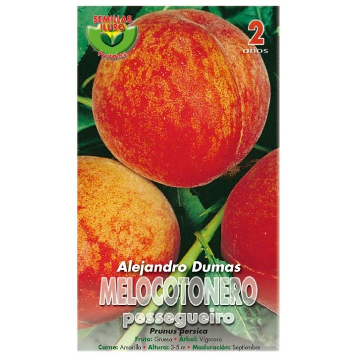 MELOCOTONERO - ALEJANDRO DUMAS