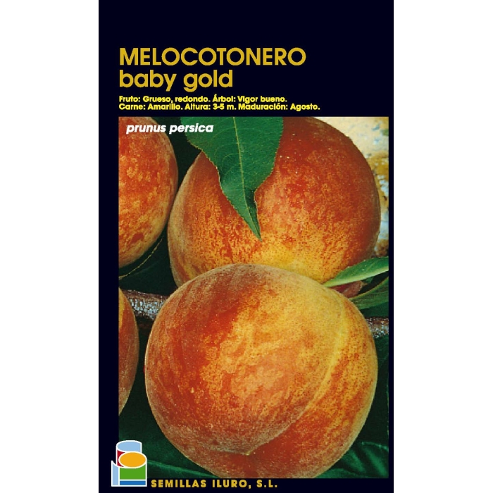 MELOCOTONERO - BABY GOLD