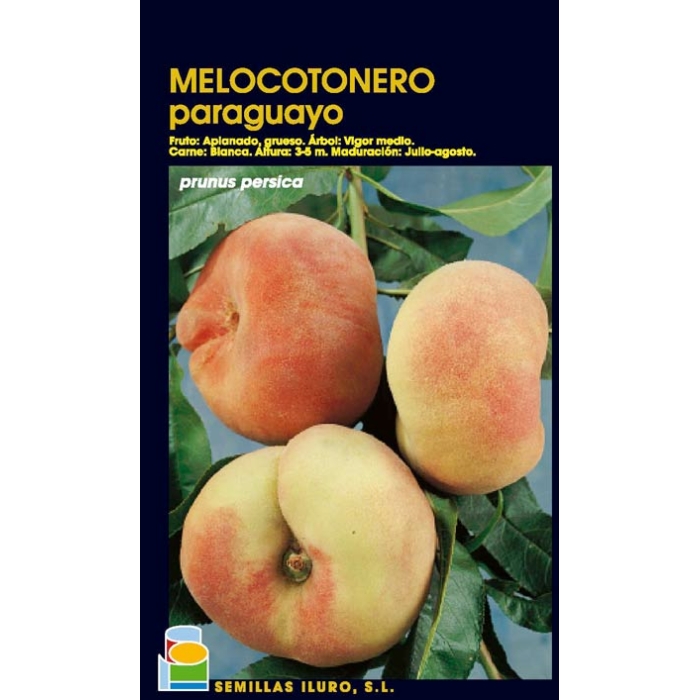 MELOCOTONERO - PARAGUAYO
