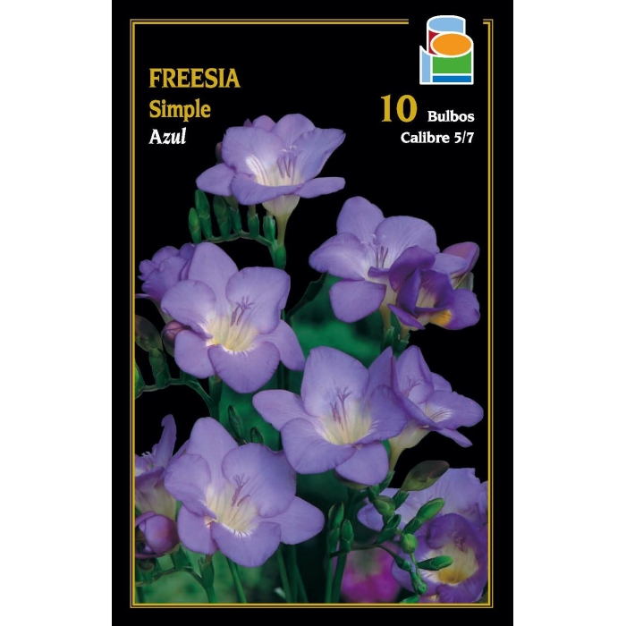 FREESIA SIMPLE AZUL 5/6