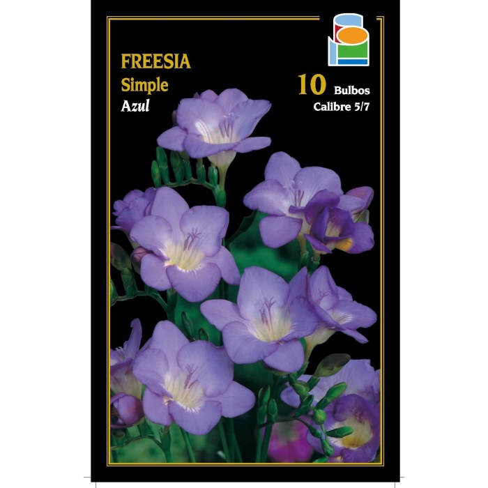 FREESIA SIMPLE AZUL
