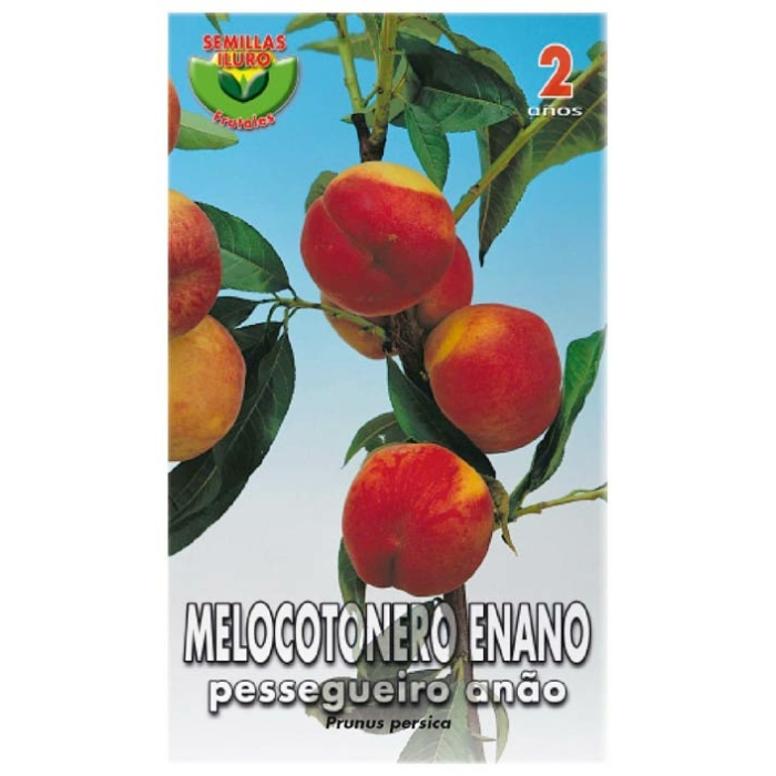 MELOCOTONERO