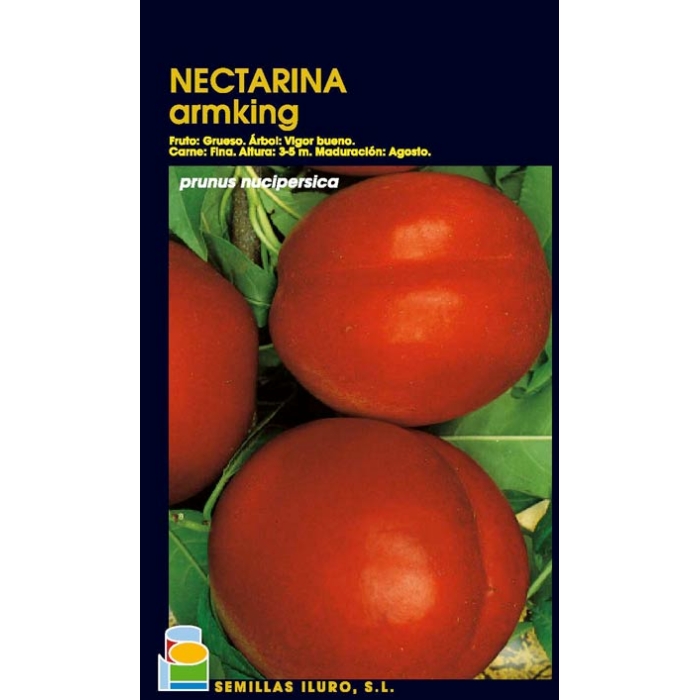 NECTARINA - ARMKING