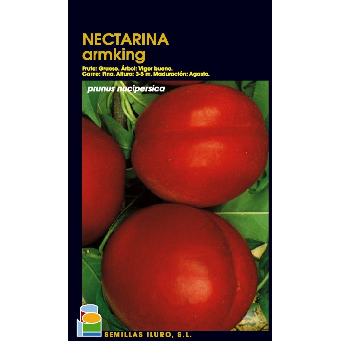 NECTARINA - ARMKING