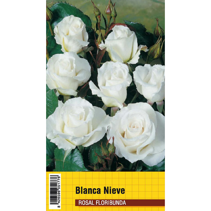 BLANCA NIEVE