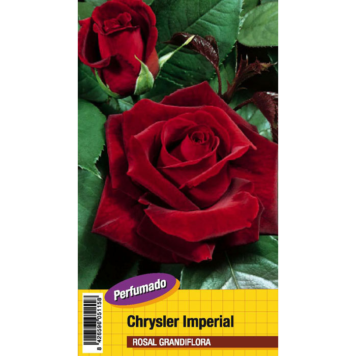 CHRYSLER IMPERIAL PERFUMADO