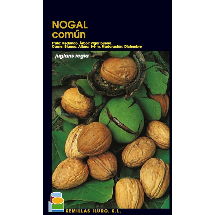 NOGAL - COMÚN