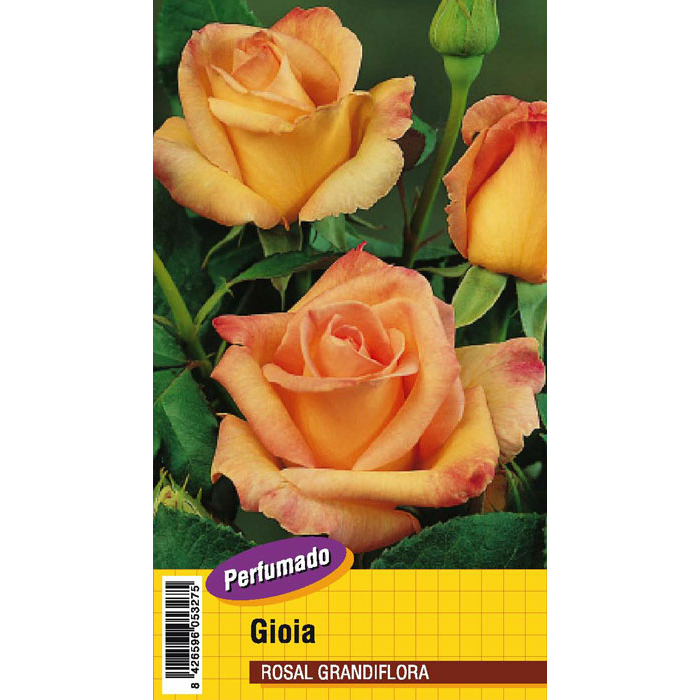 GIOIA PERFUMADO