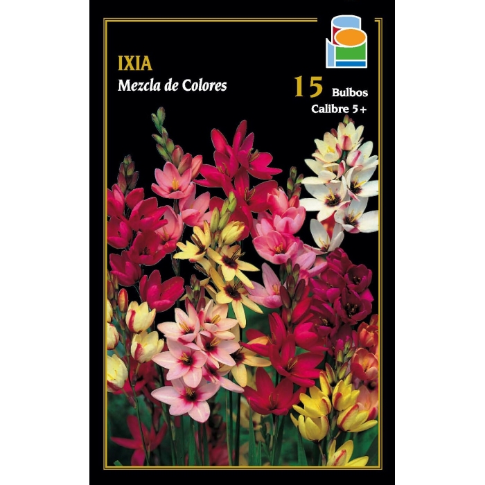 IXIA MEZCLA