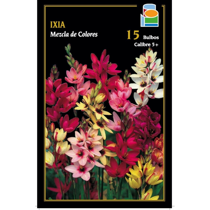 IXIA MEZCLA