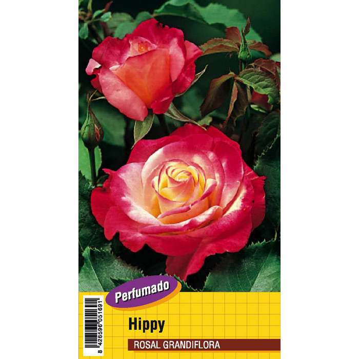 HIPPY PERFUMADO