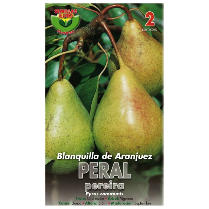 PERAL - BLANQUILLA