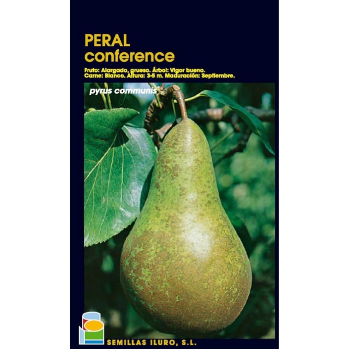 PERAL - CONFERENCE