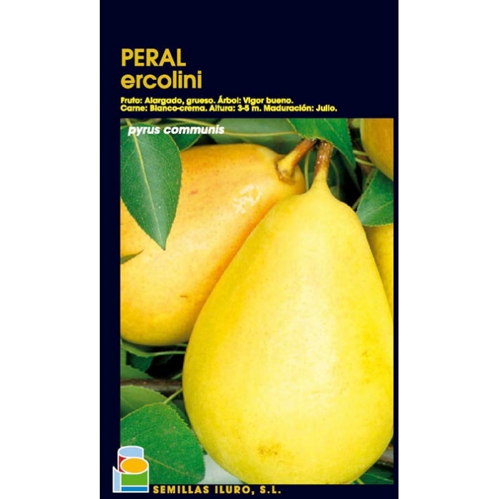 PERAL - ERCOLINI