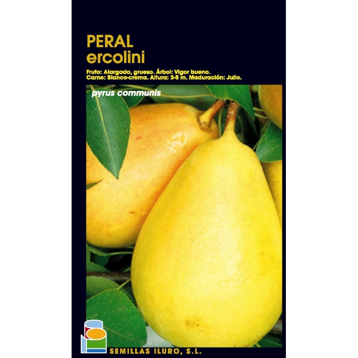 PERAL - ERCOLINI