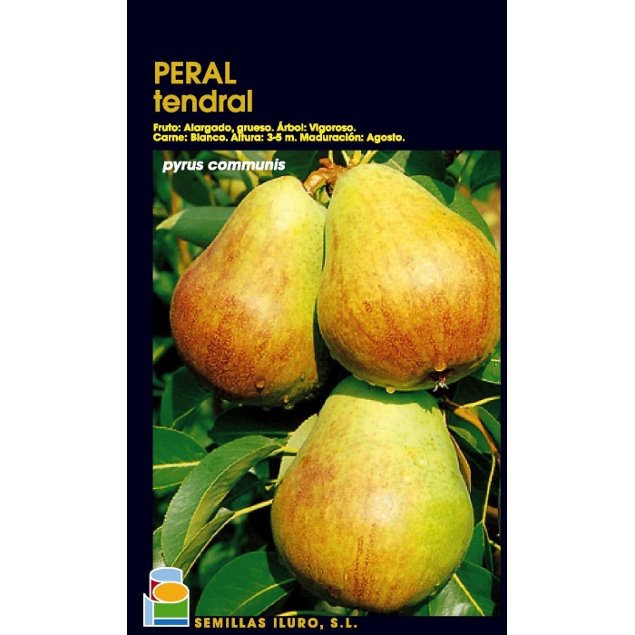 PERAL - TENDRAL VALENCIÀ