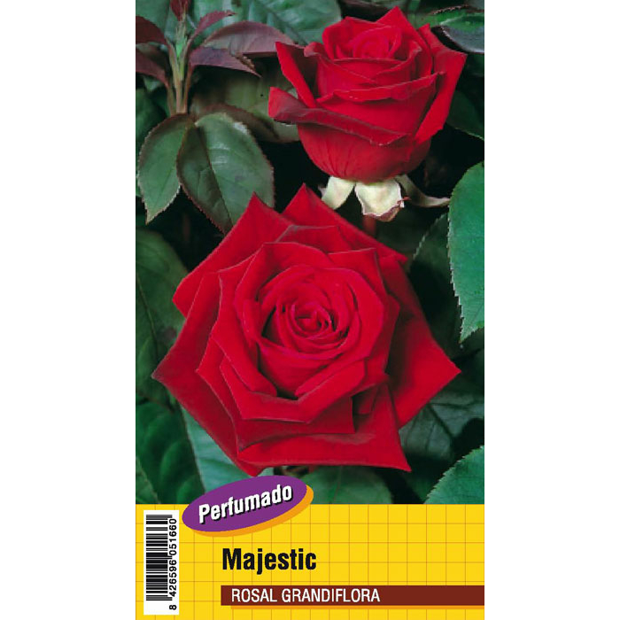MAJESTIC PERFUMADO